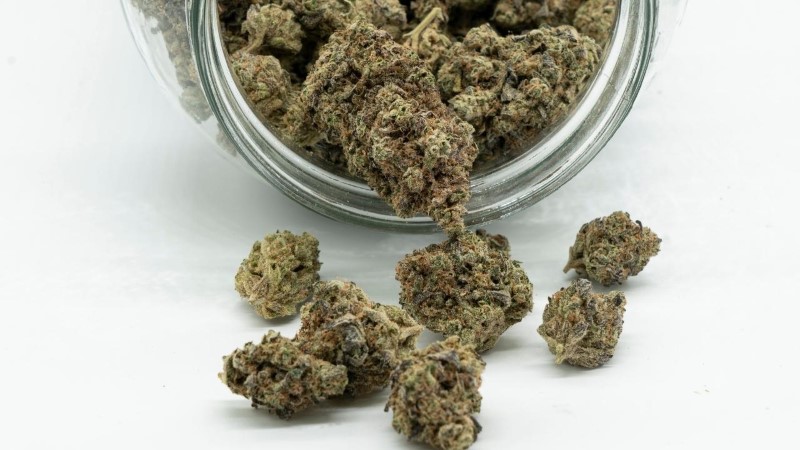 גמילה מקנאביס גמילה מקנאביס